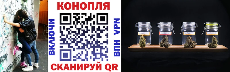 где купить наркоту  Горячеводский  МАРИХУАНА SATIVA & INDICA 